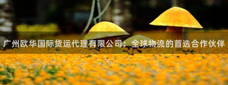 okpay钱包app下载官网2020：广州欧华国际货运代