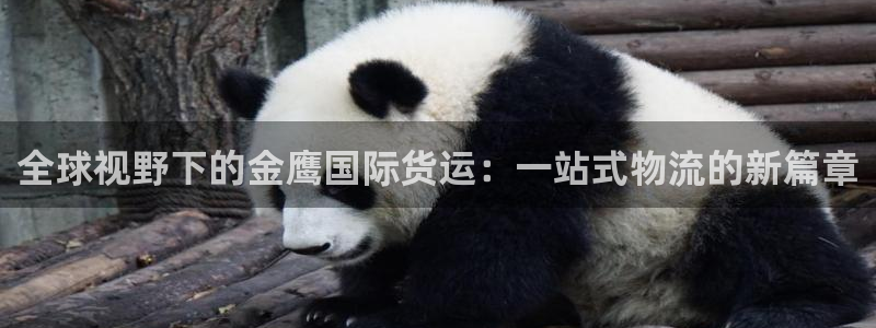 okpay支付钱包：全球视野下的金鹰国际货运：一站式物流