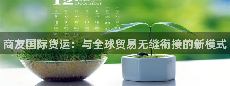 okpay钱包怎么提现：商友国际货运：与全球贸易无缝衔接
