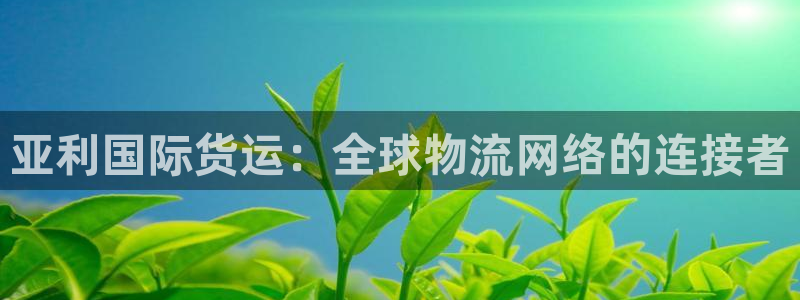okpay钱包充值：亚利国际货运：全球物流网络的连接者