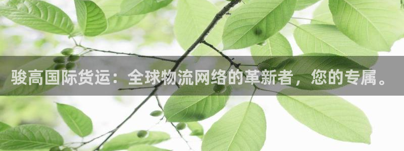 okpay钱包是什么东西,正规吗：骏高国际货运：全球物流