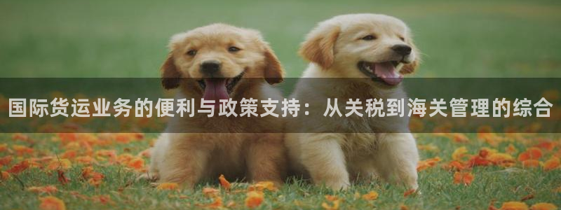 okpay钱包安卓版：国际货运业务的便利与政策支持：从关