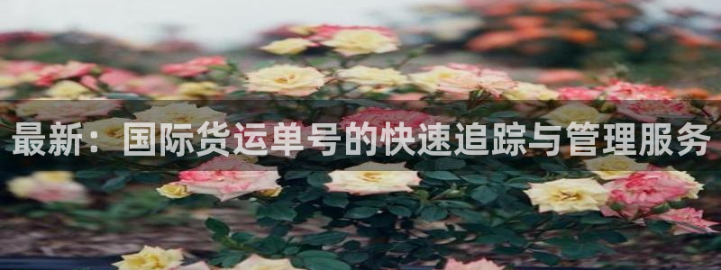 okpay钱包教程：最新：国际货运单号的快速追踪与管理服