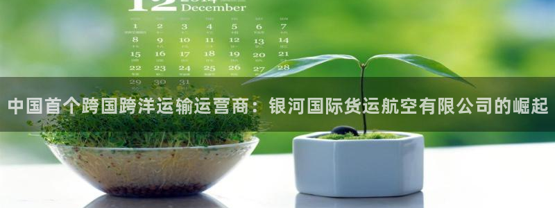 okpay是哪个国家的钱包：中国首个跨国跨洋运输运营商：