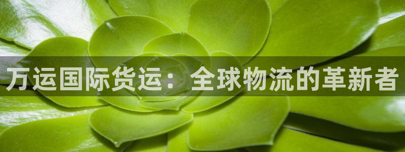 okpay钱包gopay哪个好：万运国际货运：全球物流的