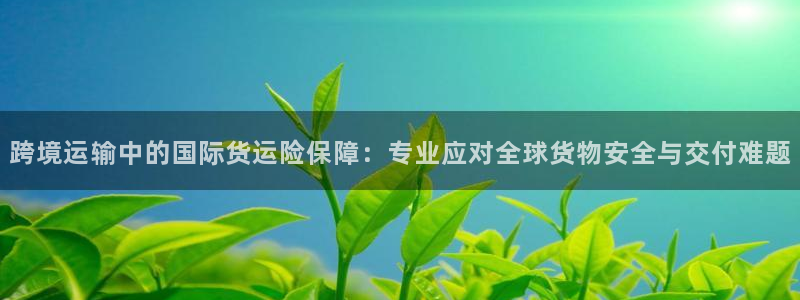 下载okpay钱包：跨境运输中的国际货运险保障：专业应对