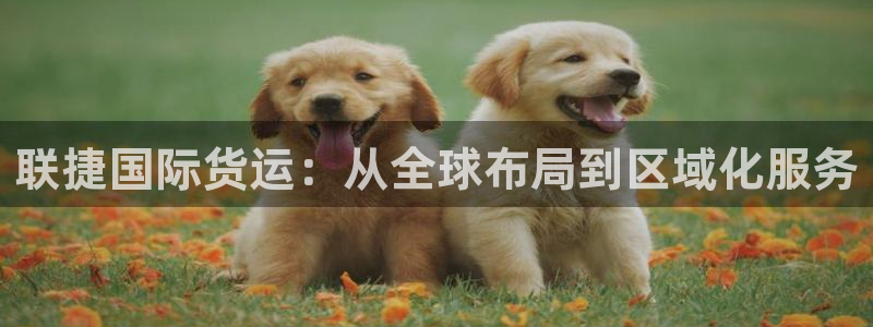 okpay钱包苹果：联捷国际货运：从全球布局到区域化服务