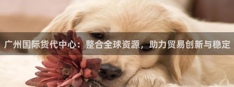 okpay777钱包最新版本：广州国际货代中心：整合全球