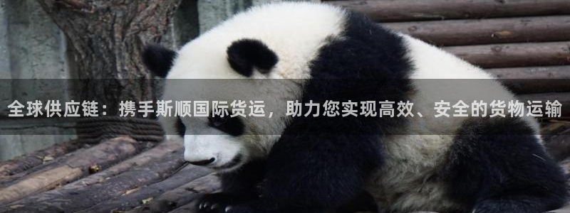 okpay钱包客服：全球供应链：携手斯顺国际货运，助力您