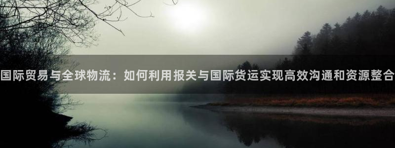 okpay钱包网址：国际贸易与全球物流：如何利用报关与国