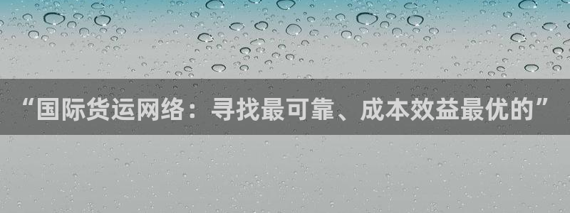 okpay钱包下载地址：“国际货运网络：寻找最可靠、成本
