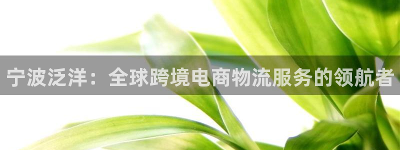 什么是okpay钱包：宁波泛洋：全球跨境电商物流服务的领