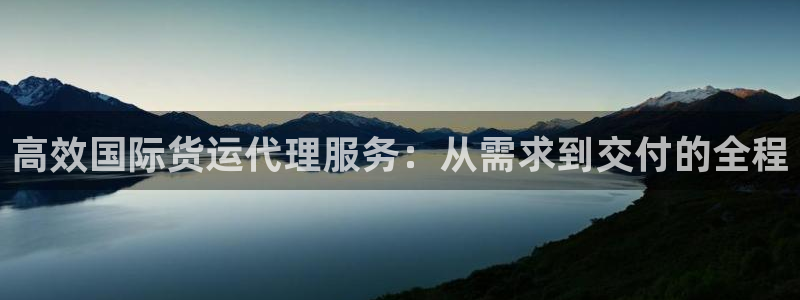 okpay钱包下载官网：高效国际货运代理服务：从需求到交