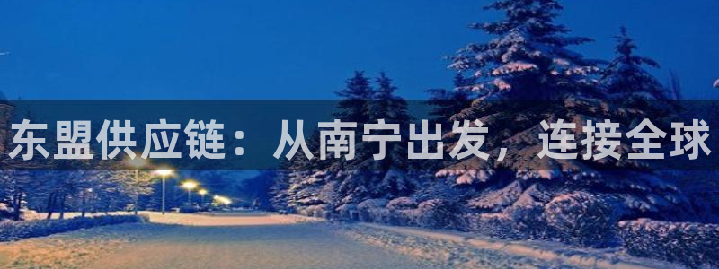 okpay钱包怎么样：东盟供应链：从南宁出发，连接全球