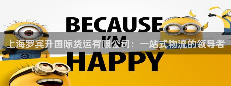 okpay钱包app下载官网2023：上海罗宾升国际货运