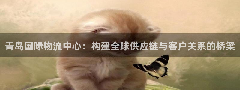 okpay钱包999：青岛国际物流中心：构建全球供应链与