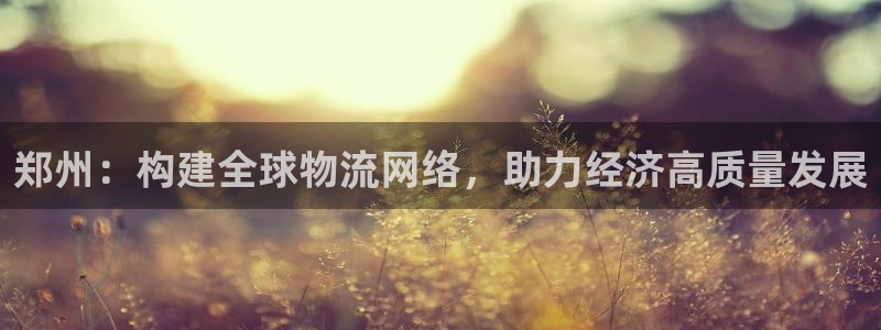 okpay钱包网址：郑州：构建全球物流网络，助力经济高质