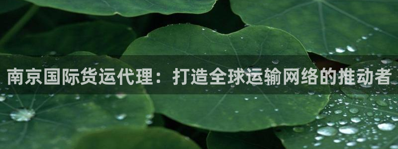 okpay钱包实名认证有风险吗：南京国际货运代理：打造全