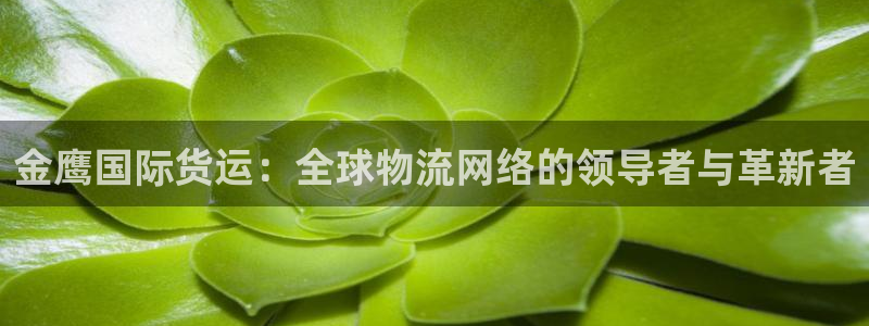 okpay钱包网页版：金鹰国际货运：全球物流网络的领导者