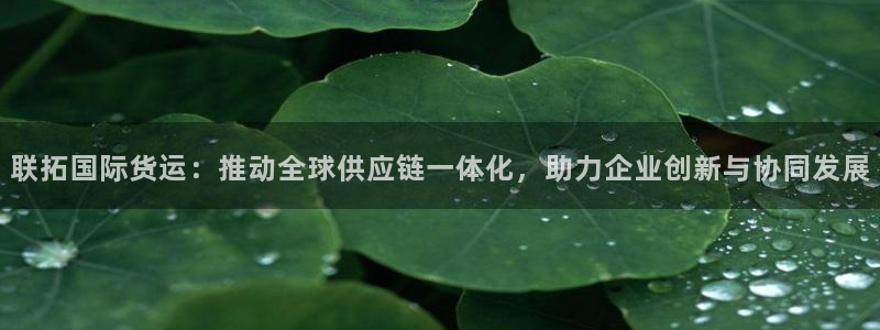 okpay777钱包最新版本：联拓国际货运：推动全球供应