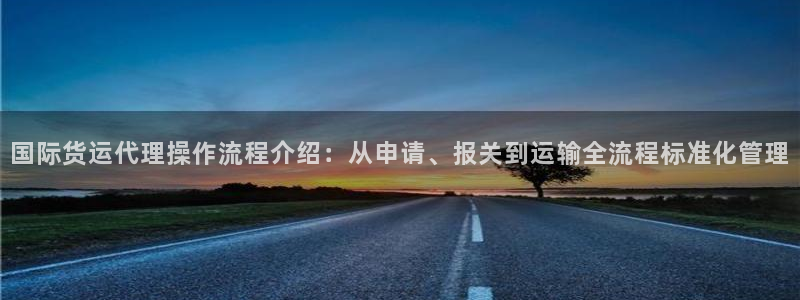 钱包okpay：国际货运代理操作流程介绍：从申请、报关到