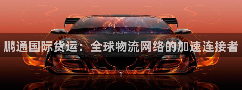 okpay钱包最新版支付下载：鹏通国际货运：全球物流网络