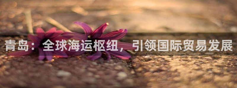 okpay钱包地址：青岛：全球海运枢纽，引领国际贸易发展