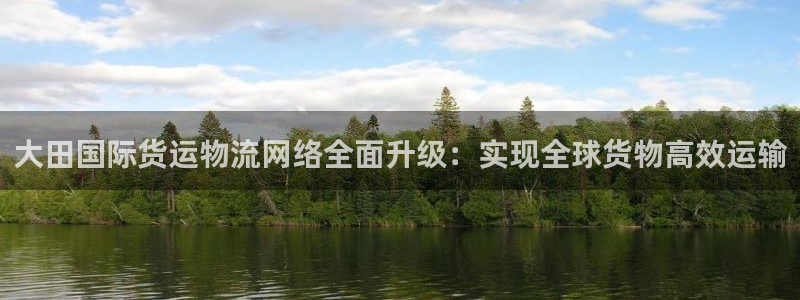 okpay钱包旧版本：大田国际货运物流网络全面升级：实现