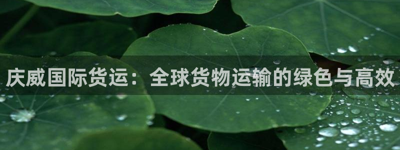 okpay钱包app下载官网2020：庆威国际货运：全球