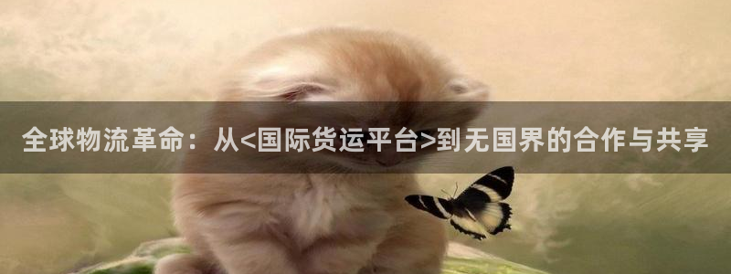okpay钱包最新版下载：全球物流革命：从<国际货运平台