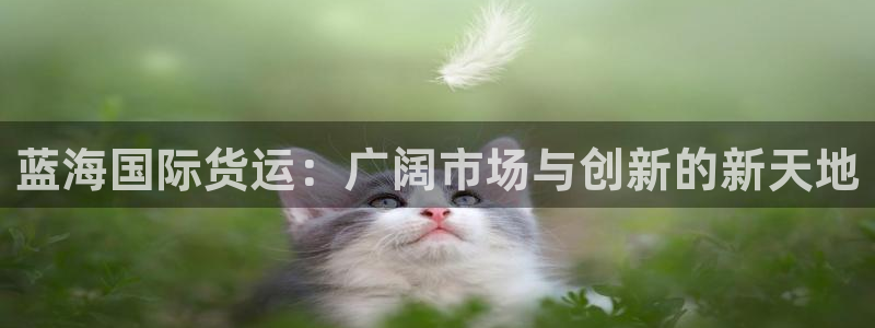 okpay钱包是什么东西,正规吗：蓝海国际货运：广阔市场