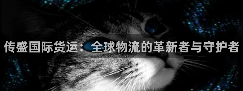 okpay钱包注册不了：传盛国际货运：全球物流的革新者与