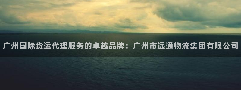 okpay钱包最新版本：广州国际货运代理服务的卓越品牌：