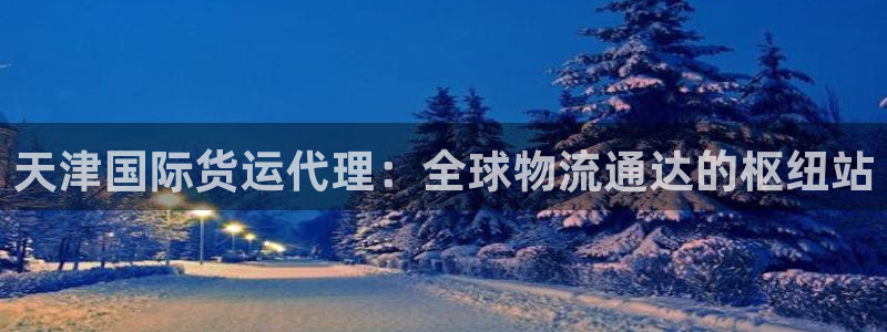 okpay下载钱包：天津国际货运代理：全球物流通达的枢纽