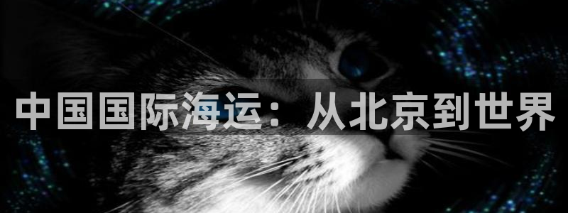 okpay钱包最新版下载：中国国际海运：从北京到世界