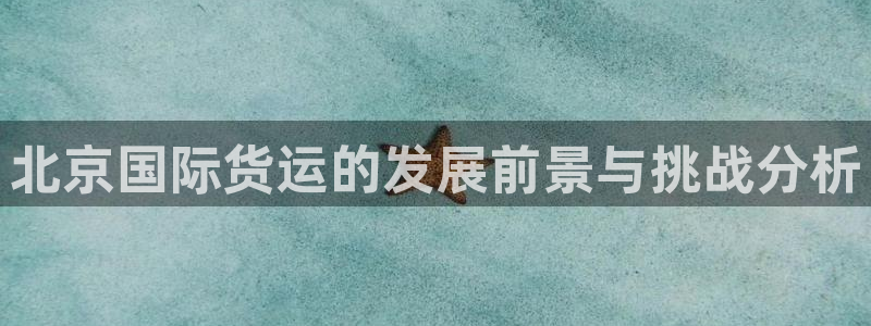 okpay钱包怎么提现到微信：北京国际货运的发展前景与挑