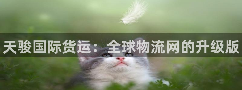 okpay钱包地址是什么：天骏国际货运：全球物流网的升级