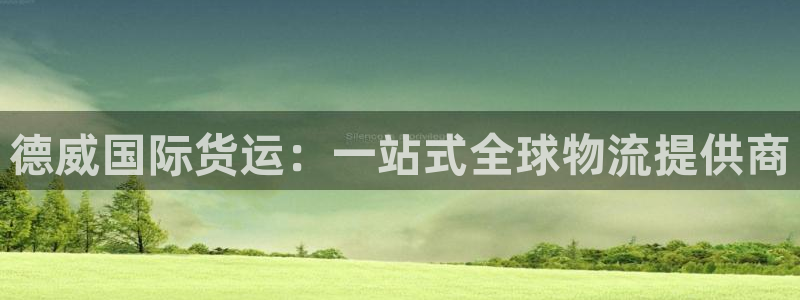 okpay钱包合法吗：德威国际货运：一站式全球物流提供商