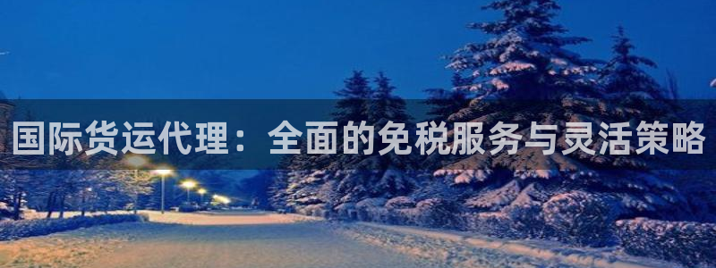 okpay钱包在中国合法吗：国际货运代理：全面的免税服务