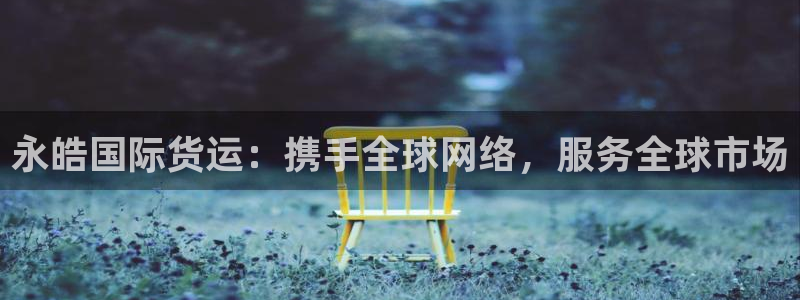 okpay钱包最新版下载：永皓国际货运：携手全球网络，服