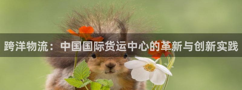 okpay数字钱包：跨洋物流：中国国际货运中心的革新与创