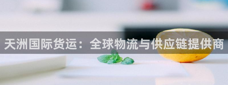 okpay钱包怎么下载不了：天洲国际货运：全球物流与供应