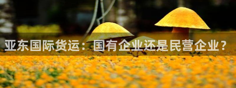 okpay钱包倒闭了没：亚东国际货运：国有企业还是民营企