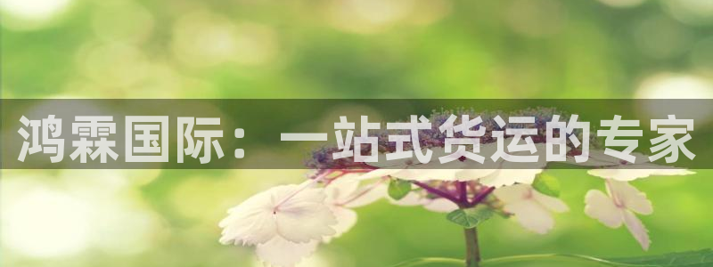 okpay钱包官网版v6.0.21：鸿霖国际：一站式货运