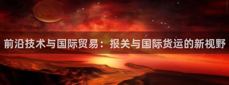 okpay钱包旧版本：前沿技术与国际贸易：报关与国际货运