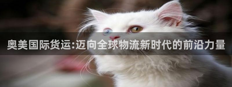 okpay钱包地址怎么查询：奥美国际货运:迈向全球物流新