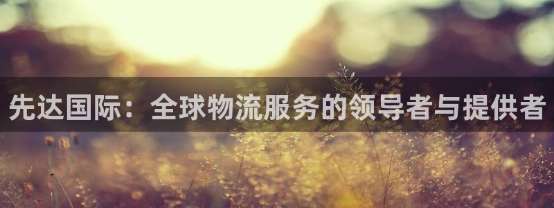 okpay钱包下载手机版：先达国际：全球物流服务的领导者