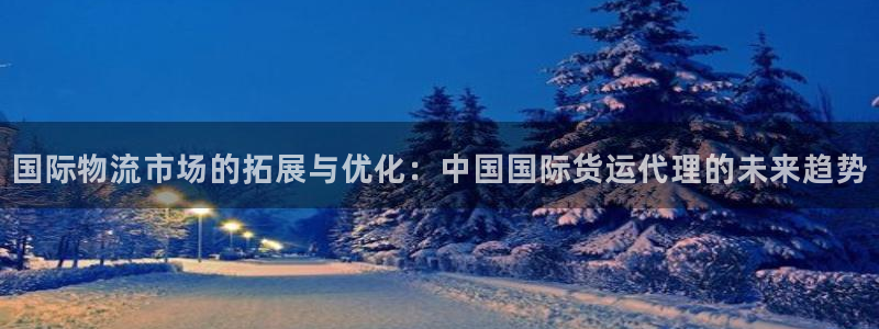 okpay支付钱包：国际物流市场的拓展与优化：中国国际货