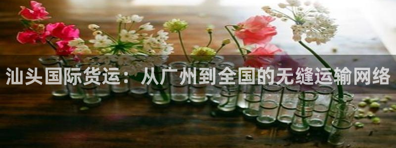 网赌okpay钱包安全吗：汕头国际货运：从广州到全国的无