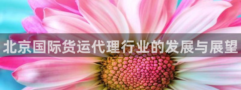 okpay钱包下载：北京国际货运代理行业的发展与展望